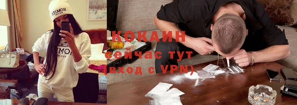 индика Алексеевка
