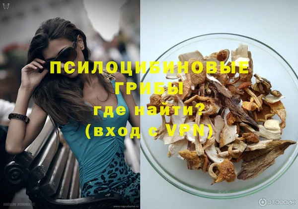индика Алексеевка