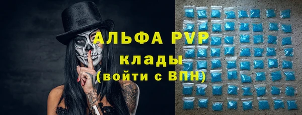 индика Алексеевка